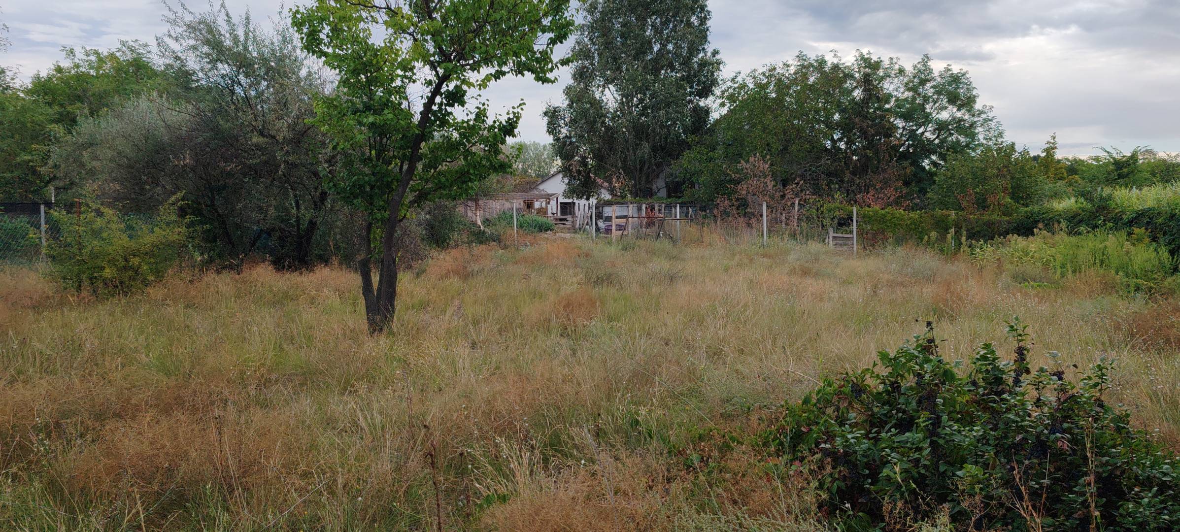 Galéria kép
