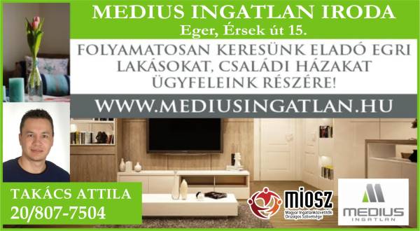 Medius Ingatlan