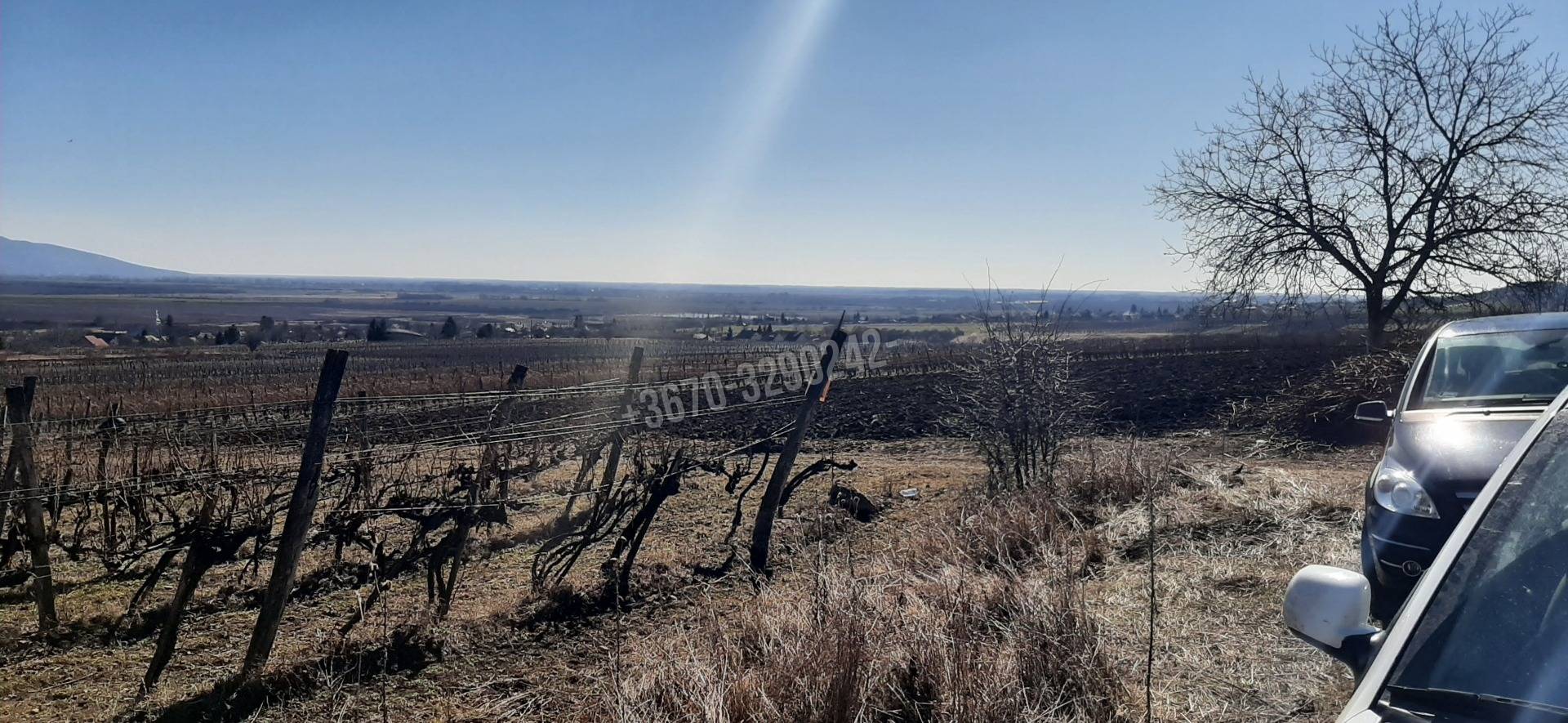 Elad ptsi telek /lak/ Borsod-Abaj-Zempln Szerencs